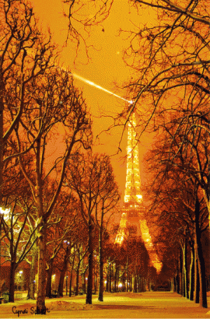 Christmas in Paris- mylusciouslife.com - Bright-Snowy-Night-Paris.gif